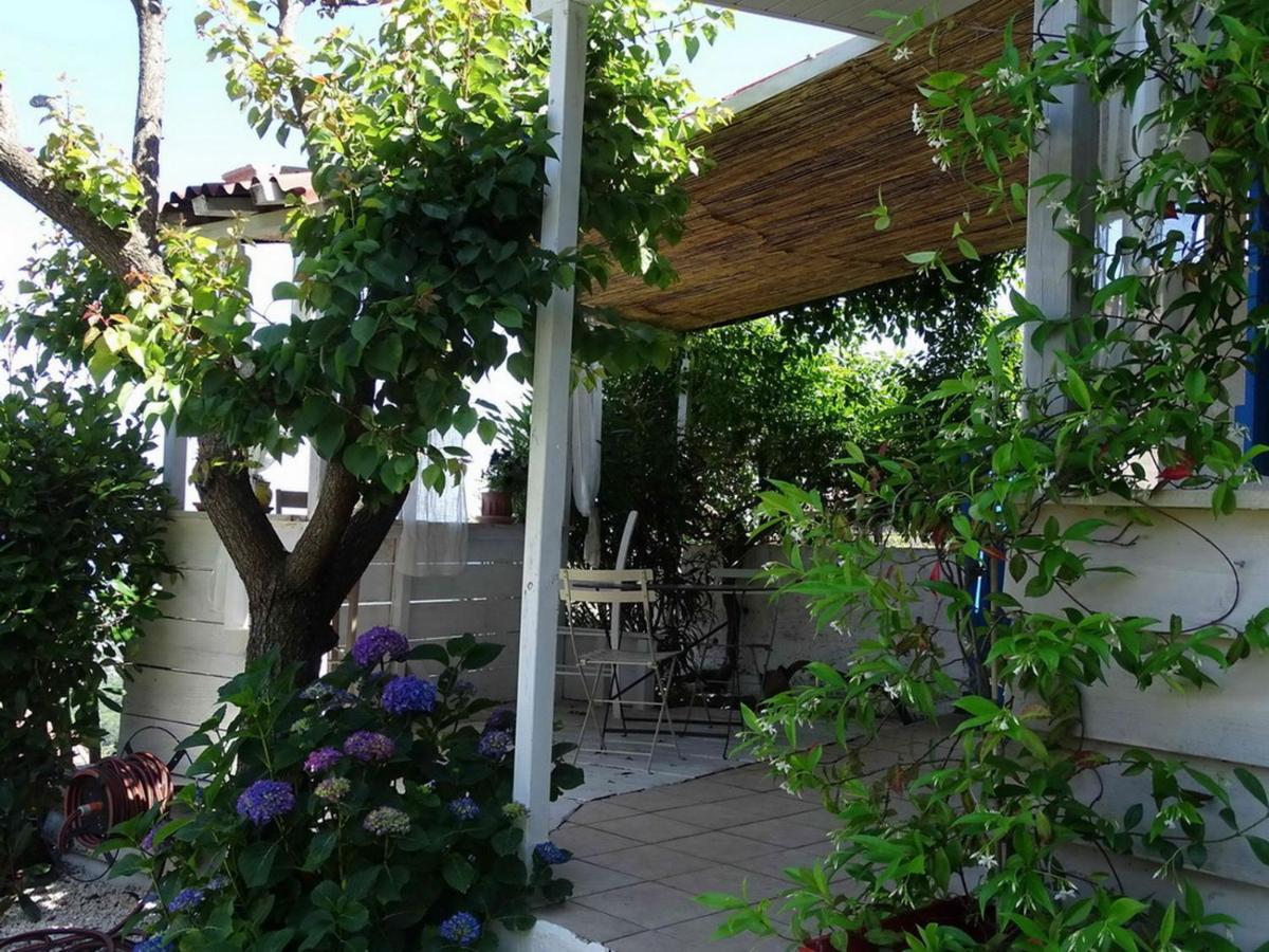 Casa Pentone Cervione Exterior foto