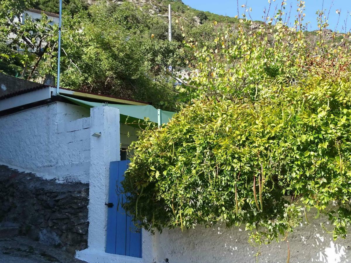 Casa Pentone Cervione Exterior foto